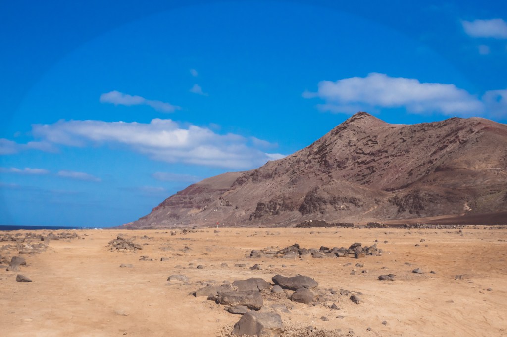 Nostalgia Epidemic –